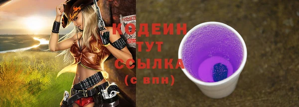 индика Заволжье