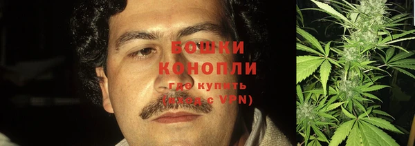 индика Заволжье