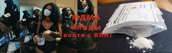 индика Заволжье