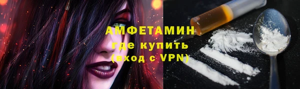 индика Заволжье