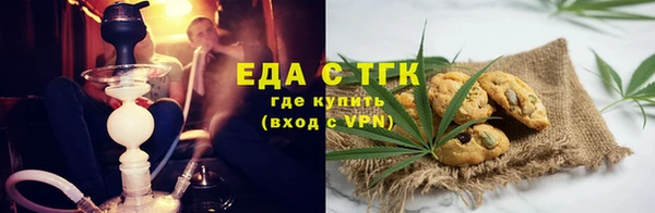 индика Заволжье