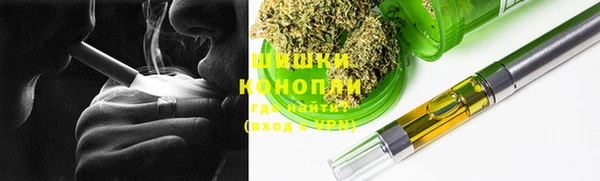 mdpv Заводоуковск