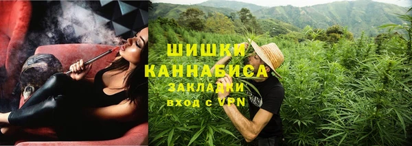 индика Заволжье