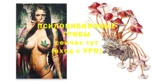 mdpv Заводоуковск