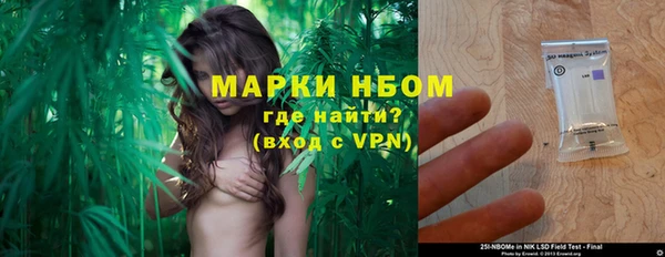 индика Заволжье