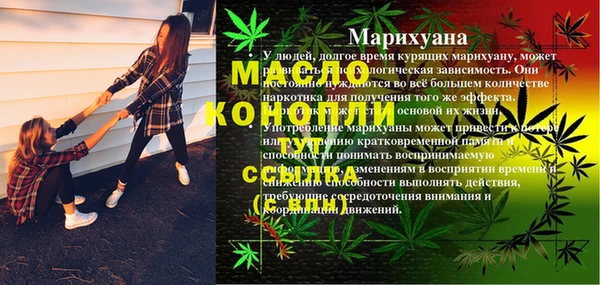 индика Заволжье