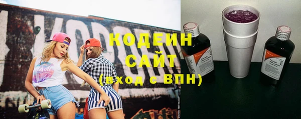 индика Заволжье